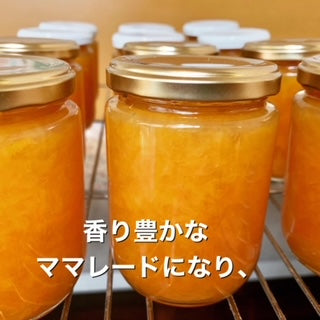 曽我山みかんマーマレード
